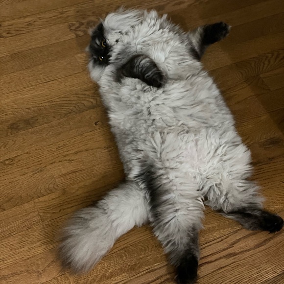 BUY MY TRASH! - Picture 8 of 16